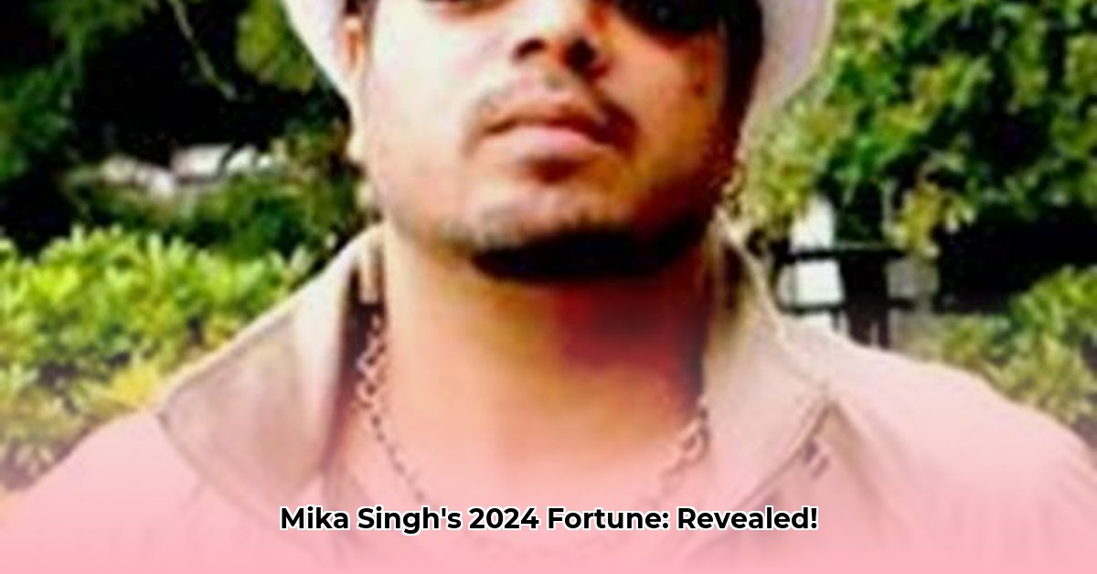mika-singh-net-worth